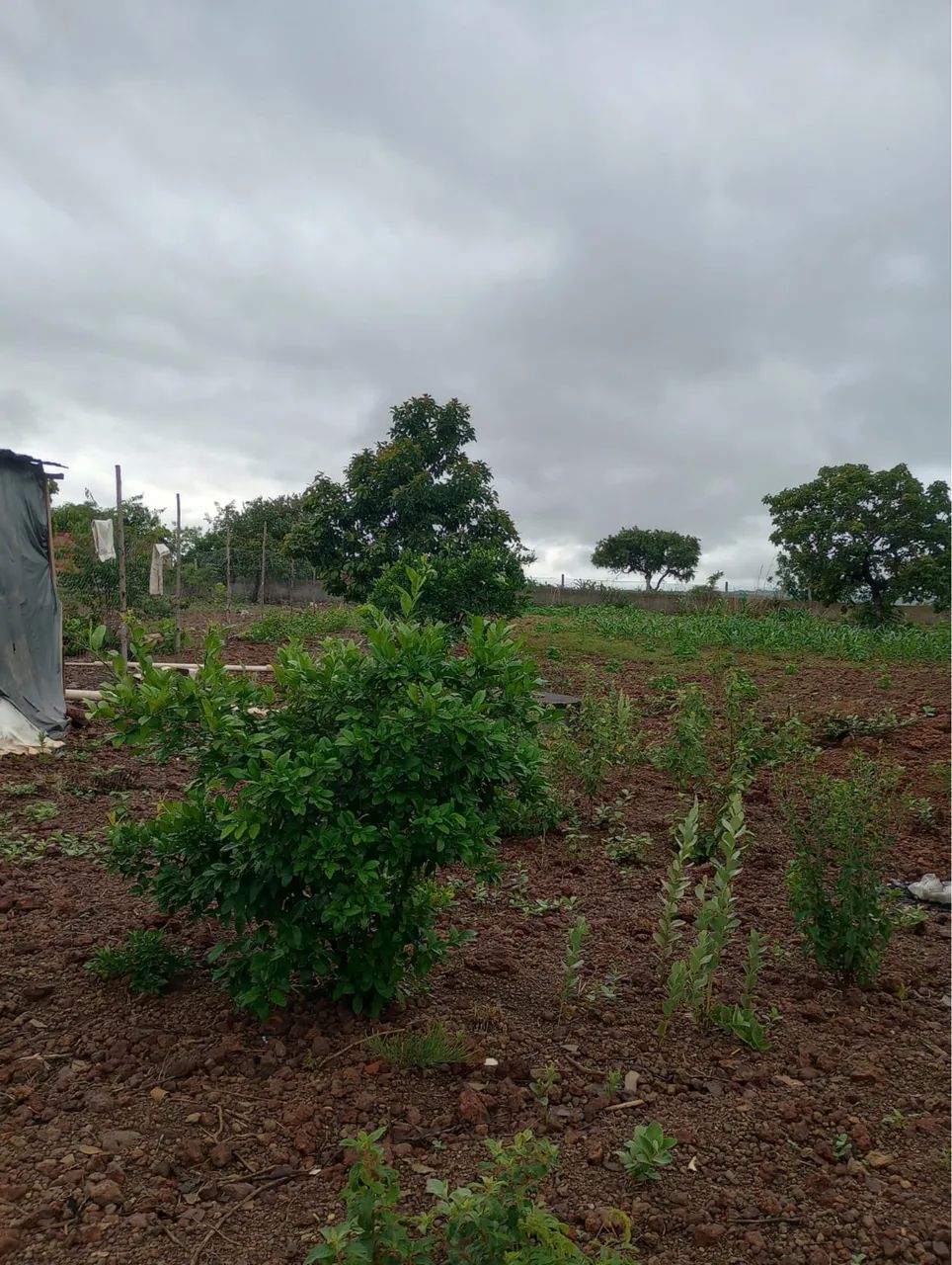 Foto - Brasília - Ceilândia Sul (Ceilândia)