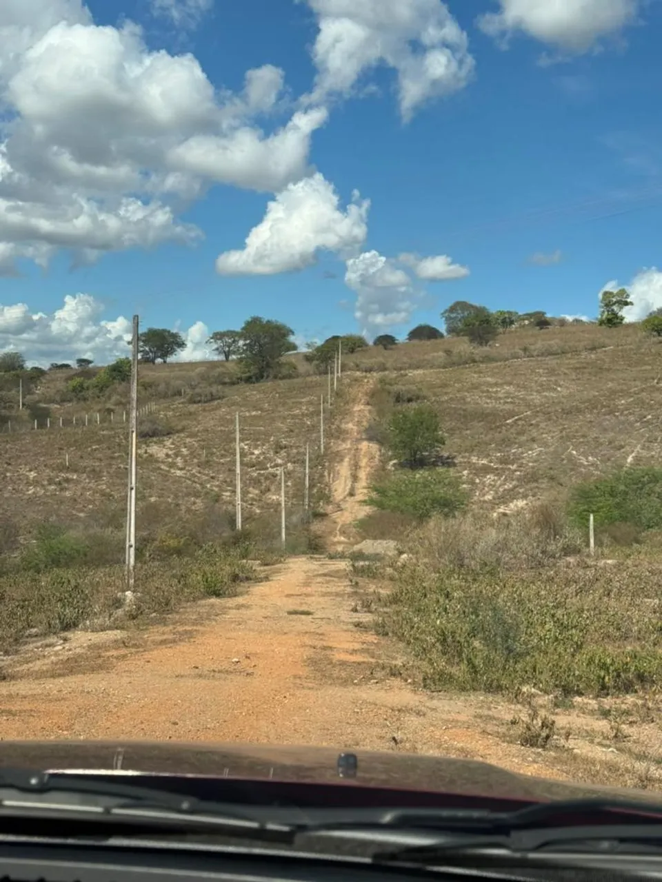 " Sua chance de ter um lugar no campo "