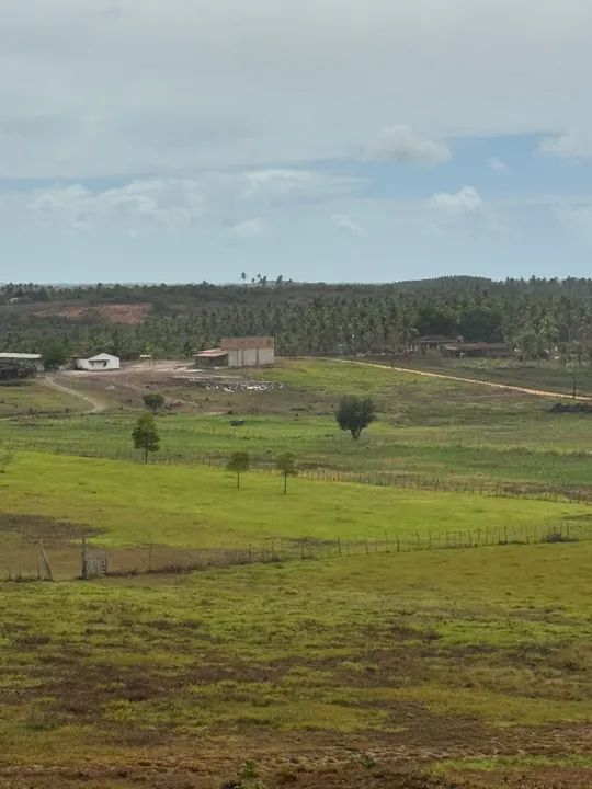 Fazenda em Estância a venda  - Foto 3