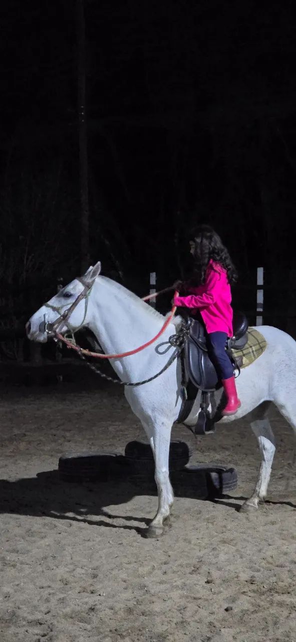 EGUAS MANSA  - Foto 5