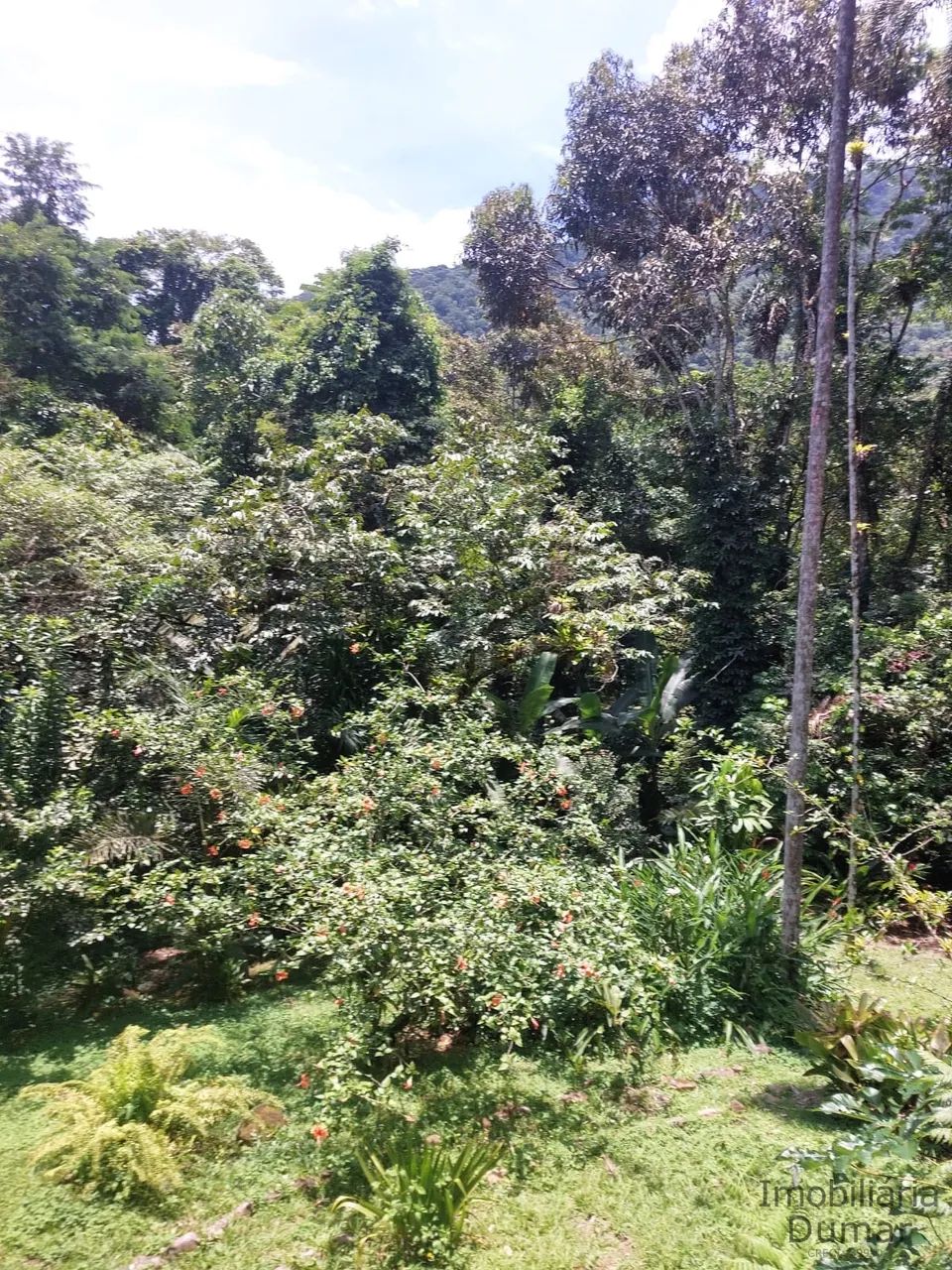 Casa/Chácara na praia da Almada - Ubatuba - Foto 4