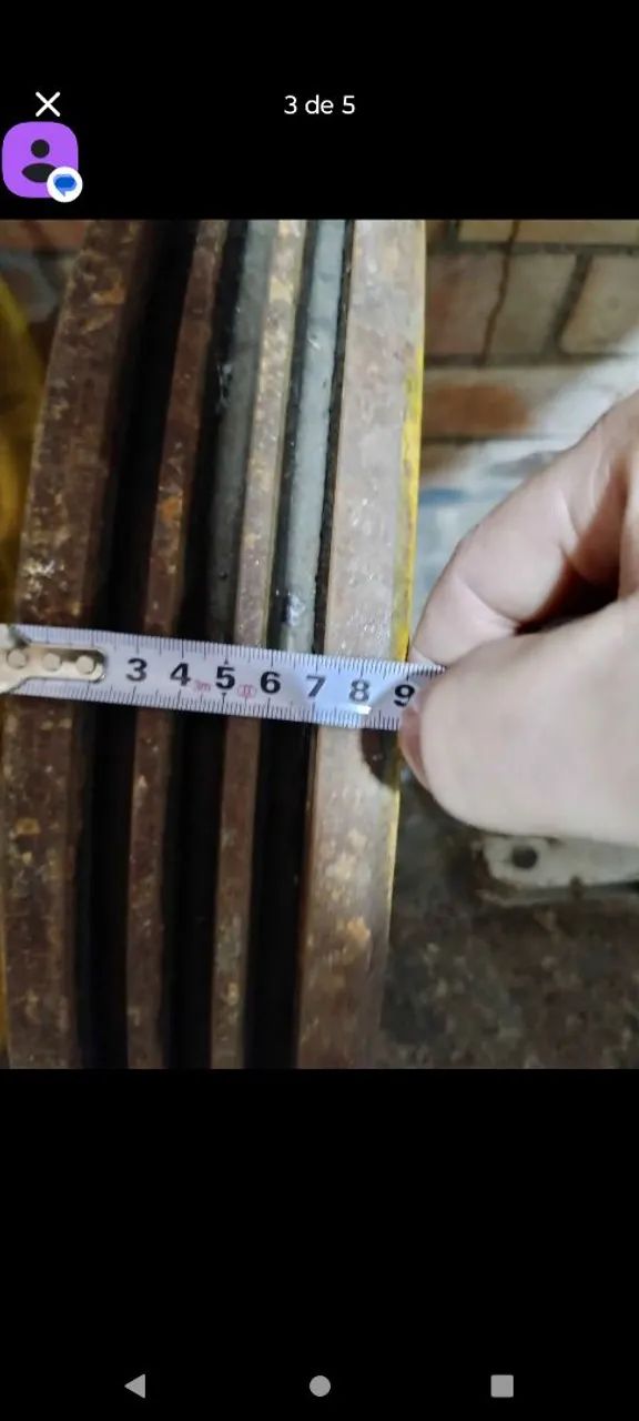 Polia torro  - Foto 4