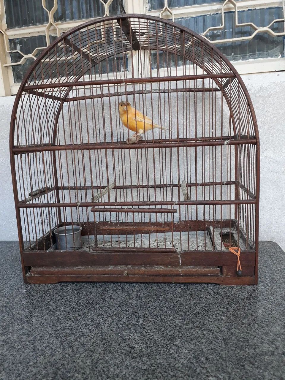 Medium-sized cage - Piracicaba64861039223298121