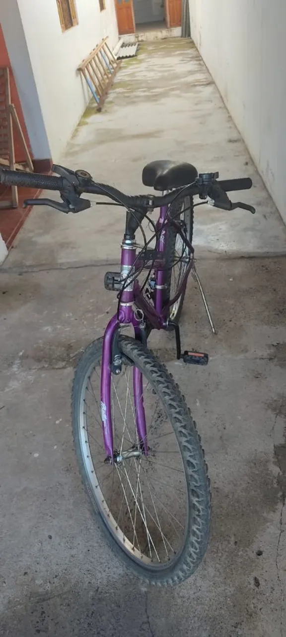 Bicicleta Aro 24 Roxa