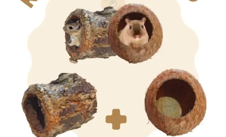 Utensílios para roedores - Foto 6