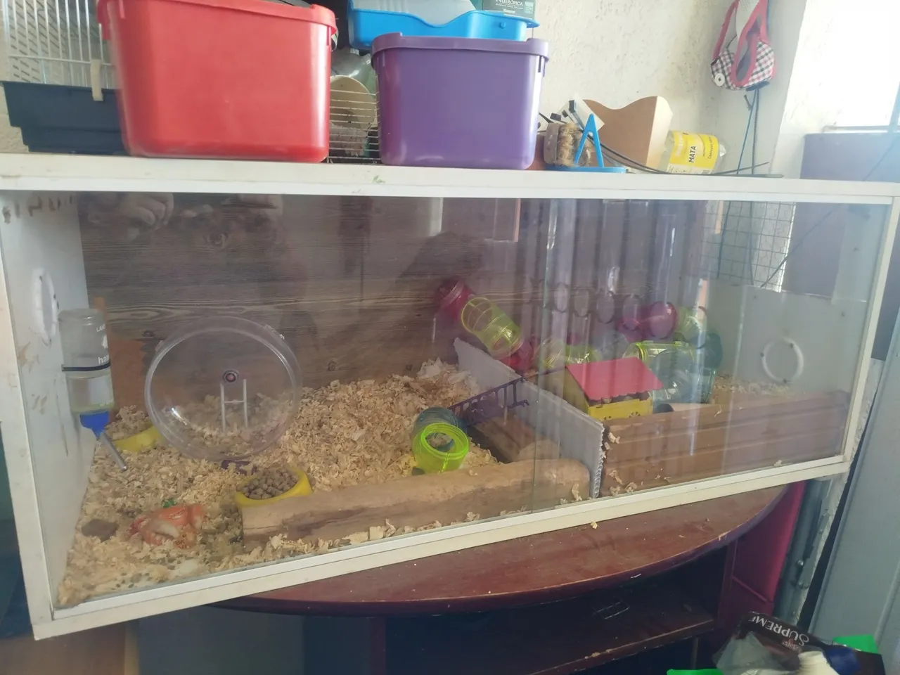 Terrário com iluminação