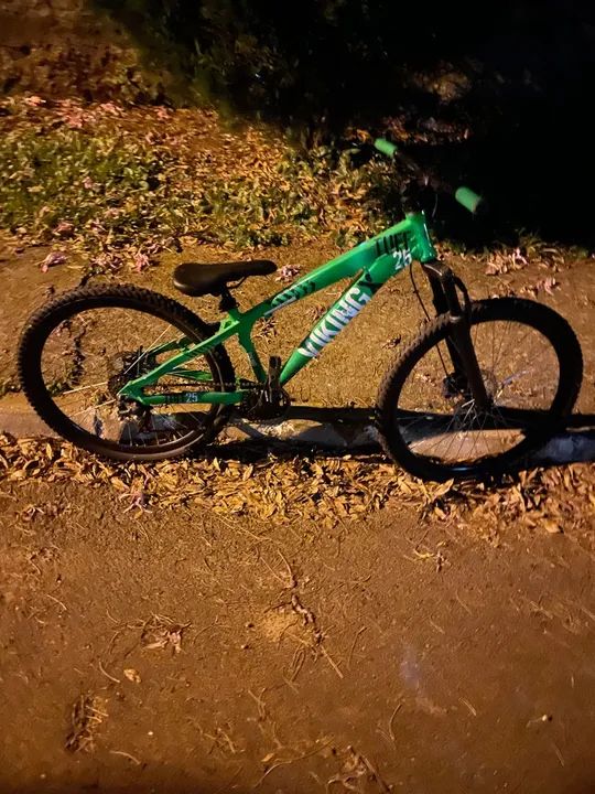 Bike Viking 26