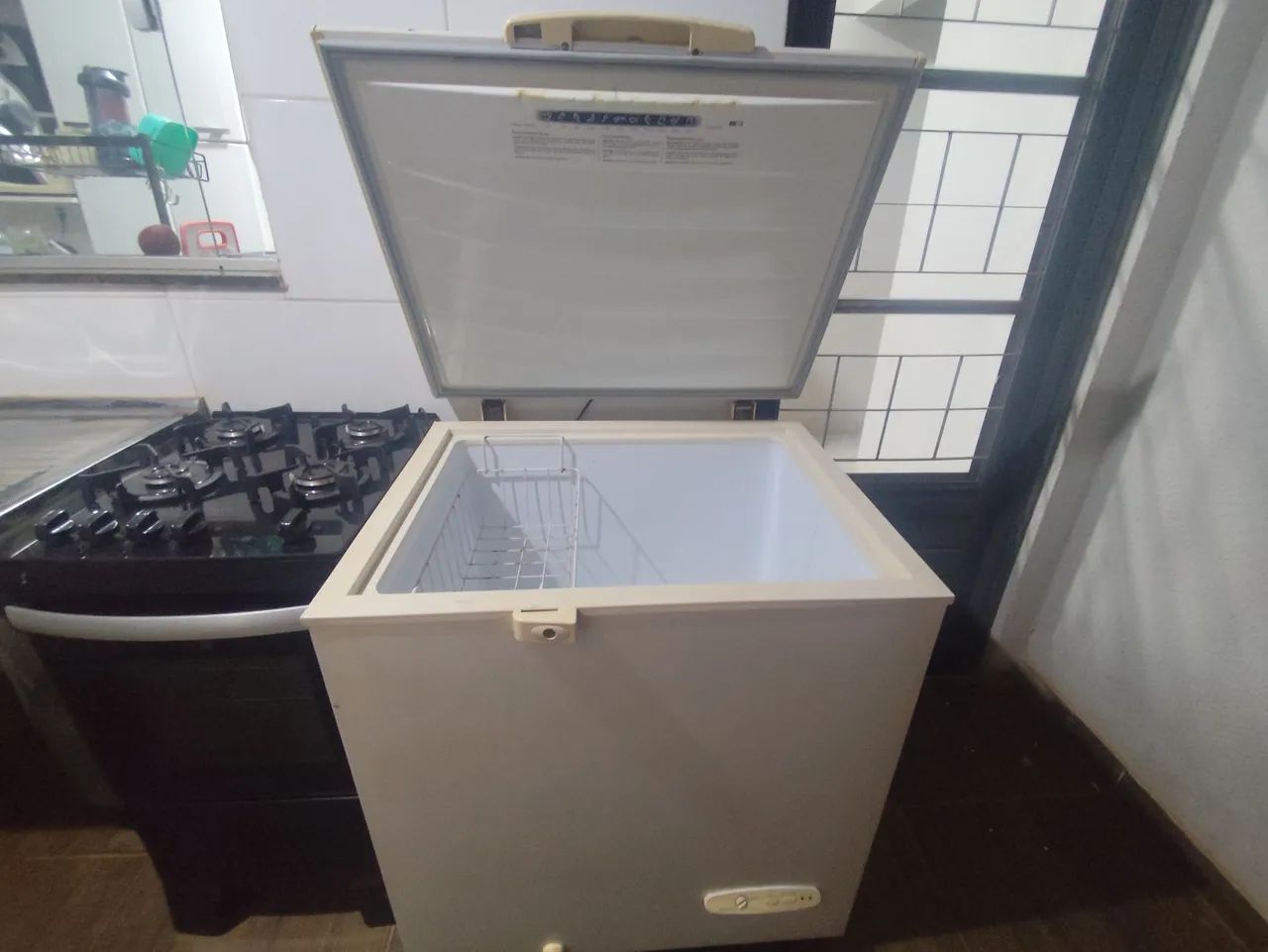 Freezer Horizontal