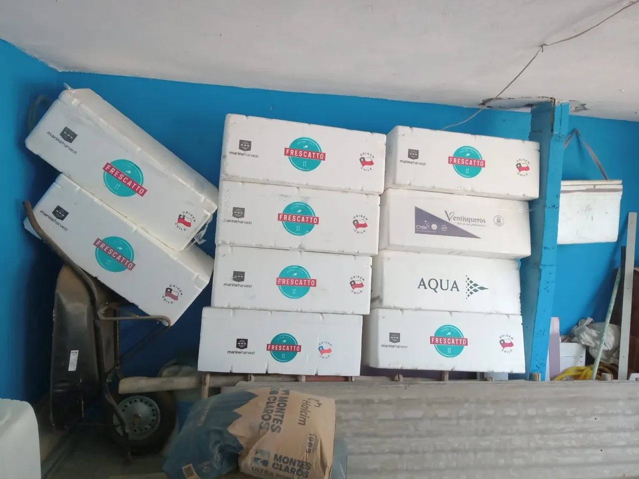 Caixa de Isopor para Entrega - Novo - Foto 3