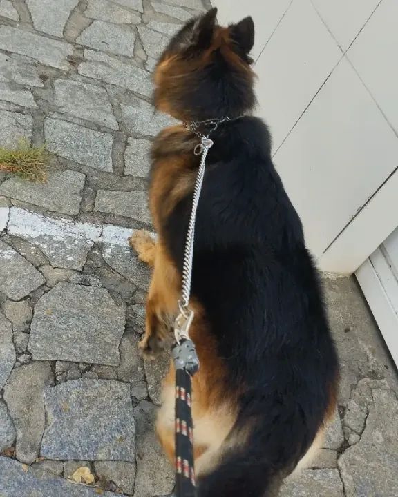 A procura de namorada  - Foto 2