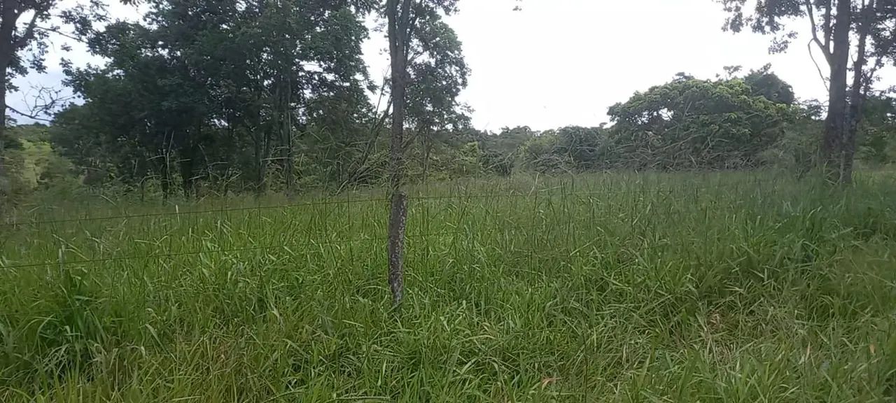 Fazenda pra lavoura com 100% aproveitamentos  - Foto 3