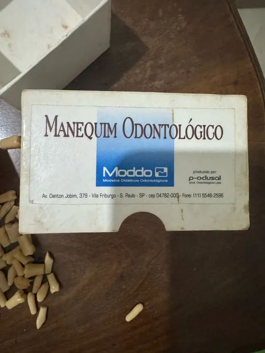 Manequim odontológico para prótese ou dentistica MODDO (P - OCLUSAL) com dentes reserva - Foto 4