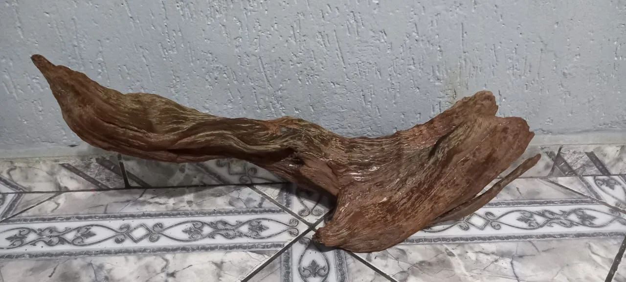 Tronco de aroeira para aquário ou terrario  - Foto 2