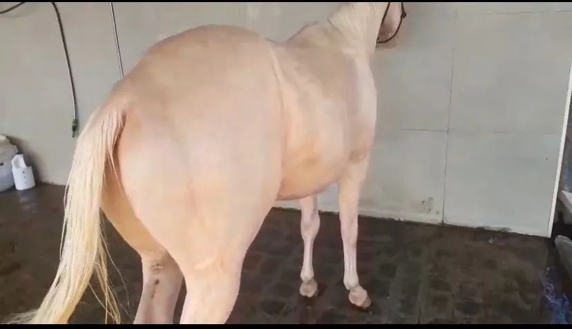 Destiny spark  - Foto 4