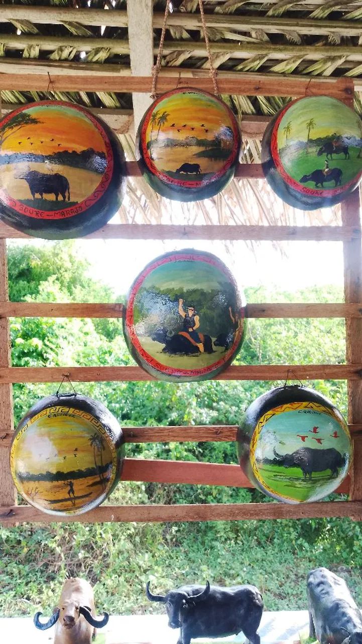 Cuias Pintadas - Foto 3