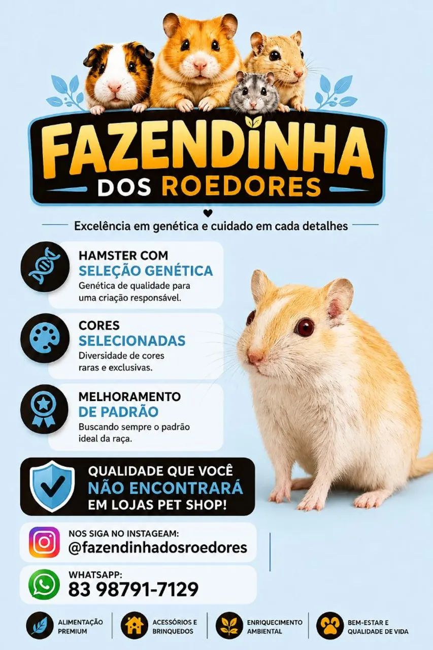 Gerbil ou Esquilo da Mongólia 