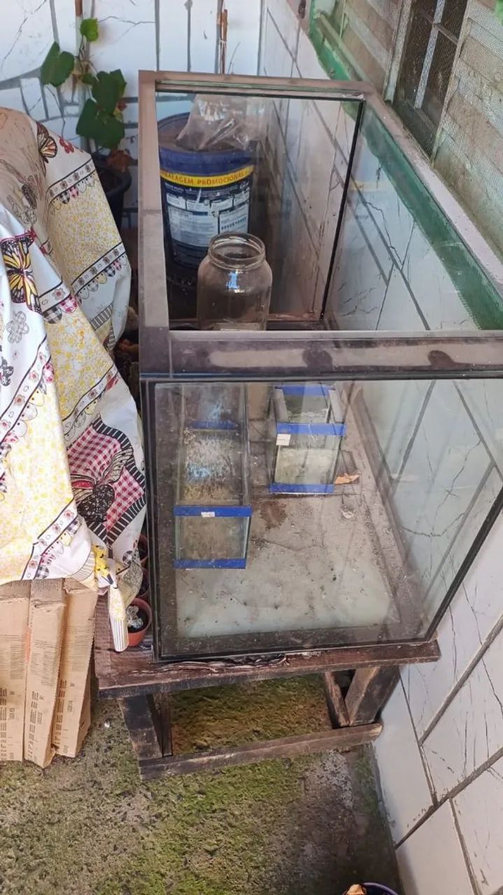Vendo
