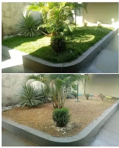 SERVIÇO DE JARDINAGEM  - Foto 4
