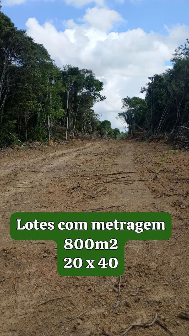 Lote e chácaras  - Foto 4