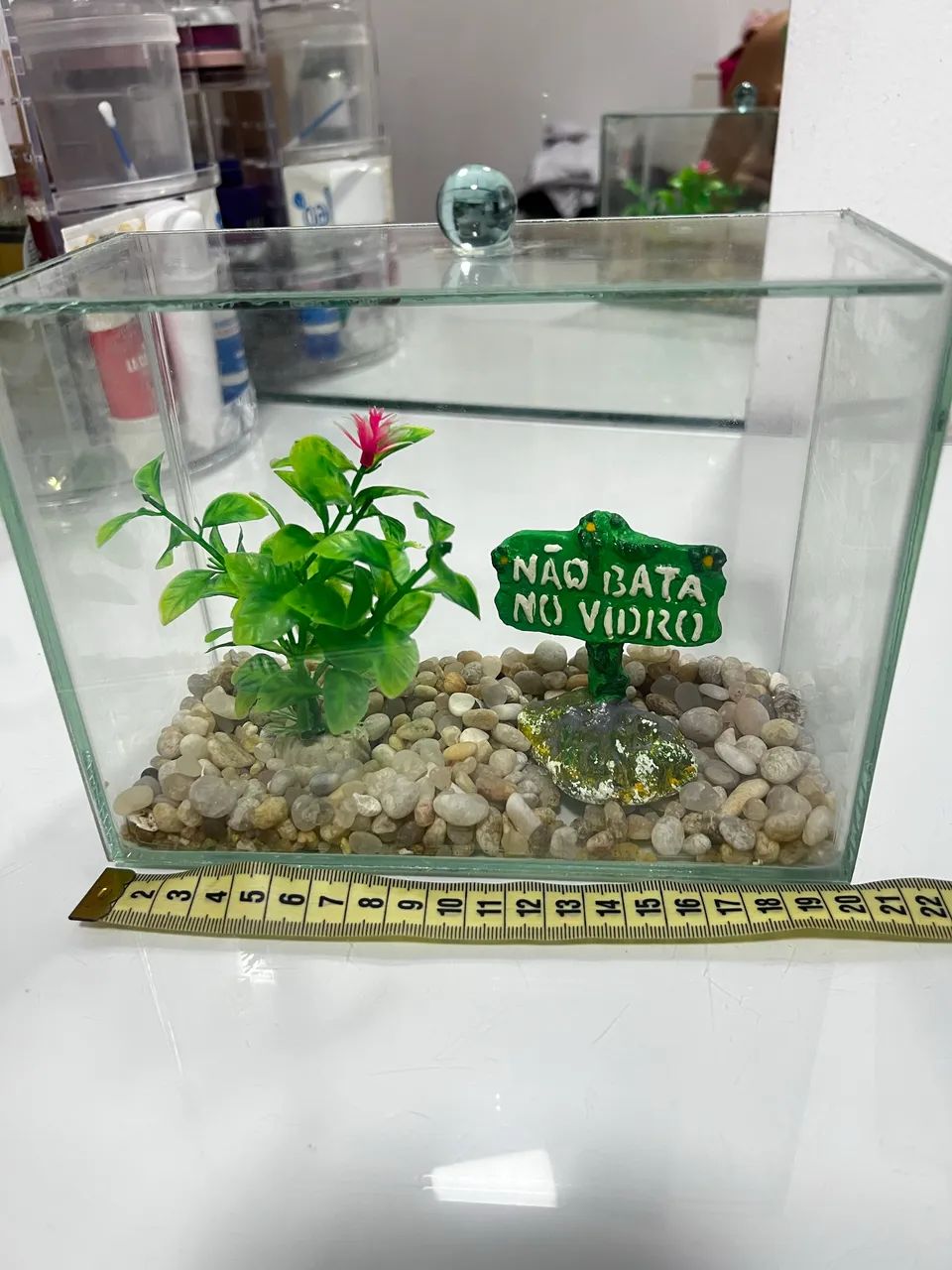 Aquário com decoração 