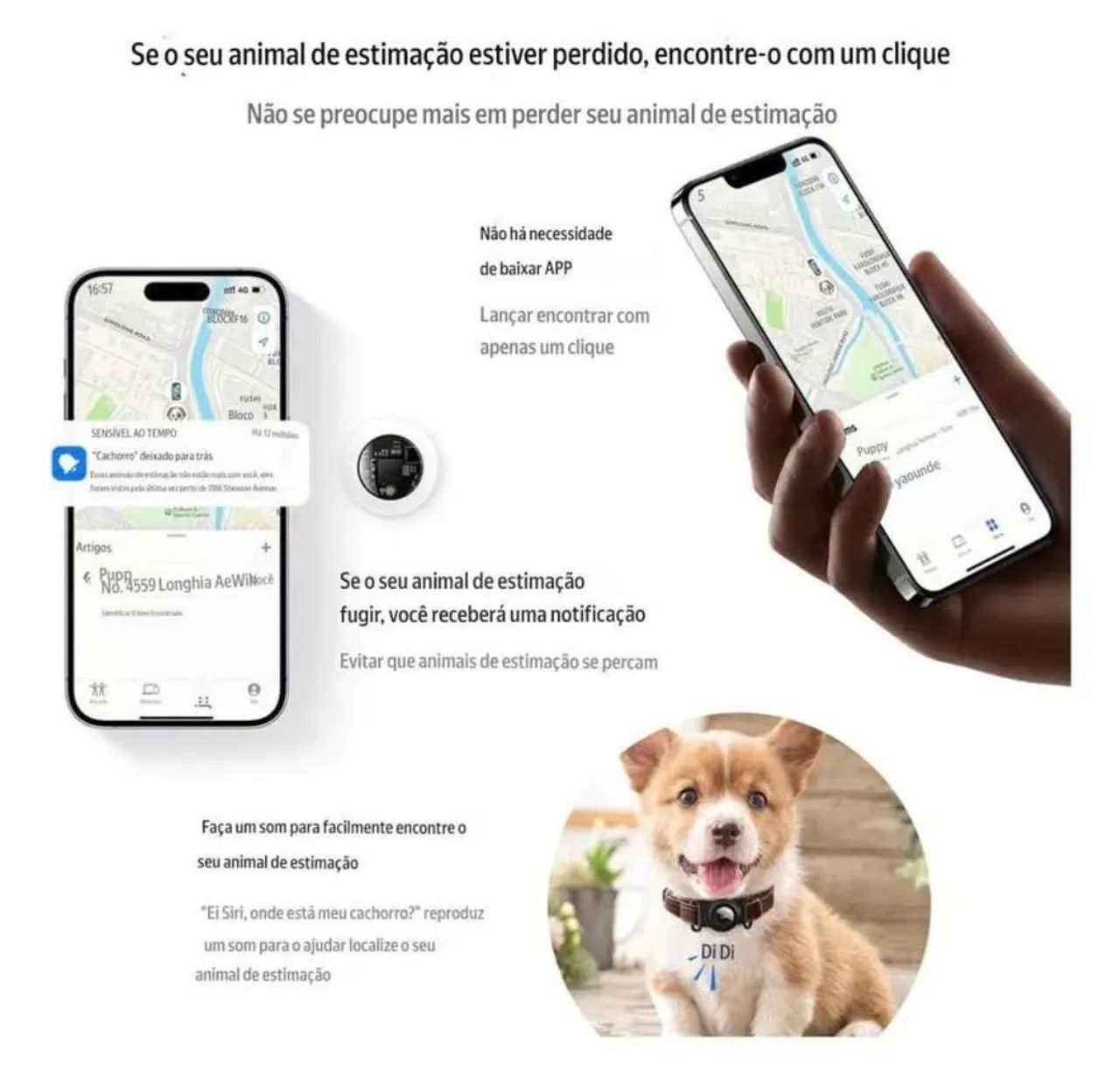 Tranquilidade Pet: Rastreador HOCO Tag com Apple Find My - Foto 3