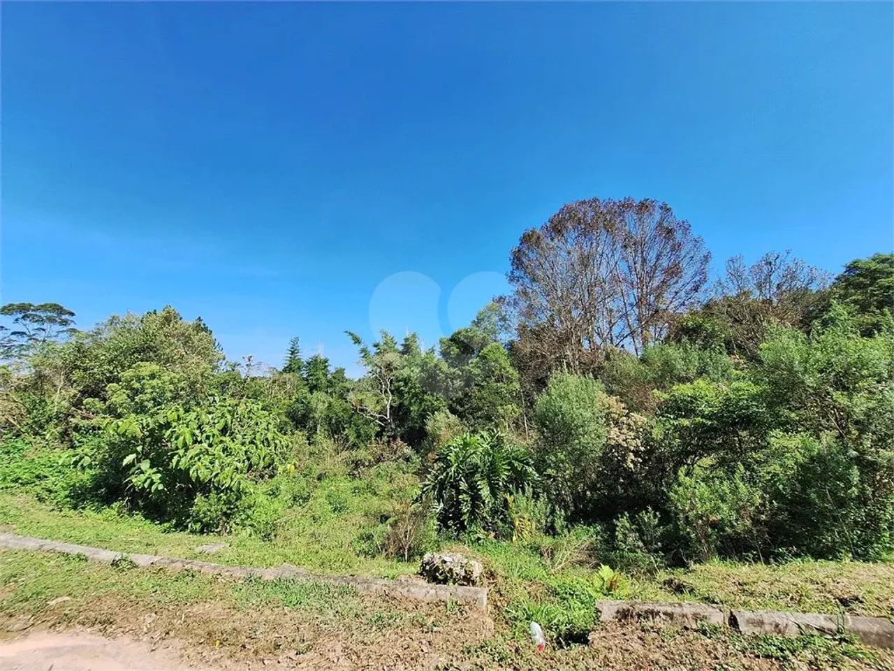 Loteamento à venda em Vila são josé - SP - Foto 5