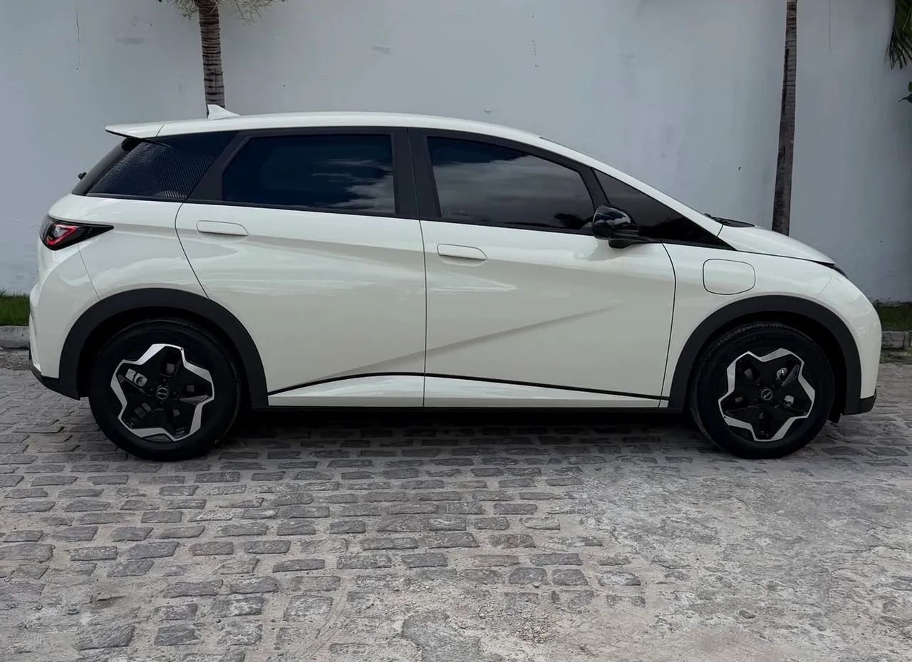 BYD Dolphin Mini GL 2025 - Foto 5