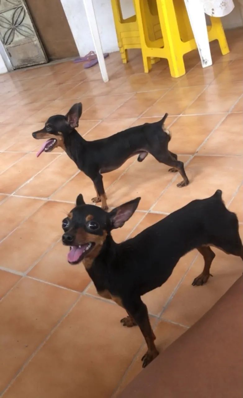 Doação  - Foto 2