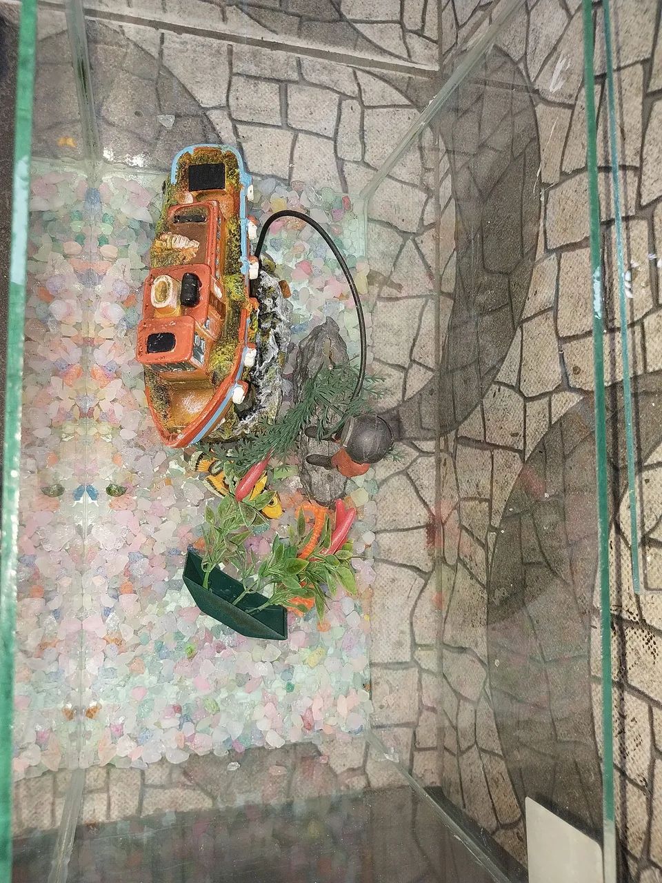 Aquário, mais acessórios.  - Foto 3