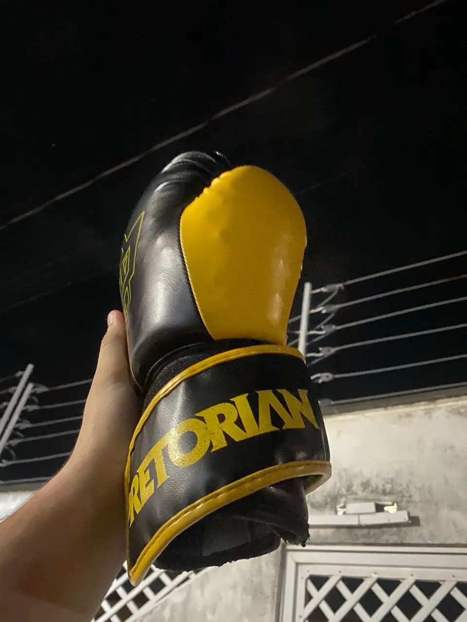 LUVA DE MUAY/THAI - Foto 2