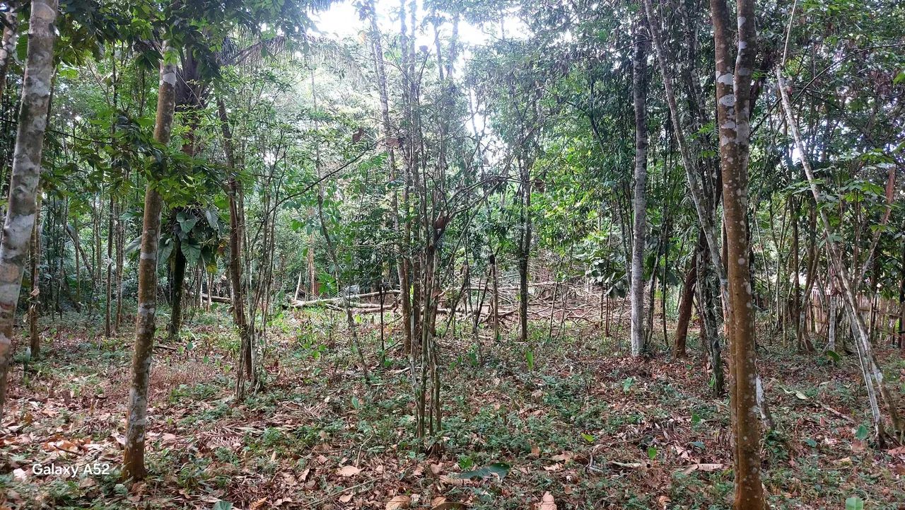 TERRENO CAIÇAUA - Foto 2