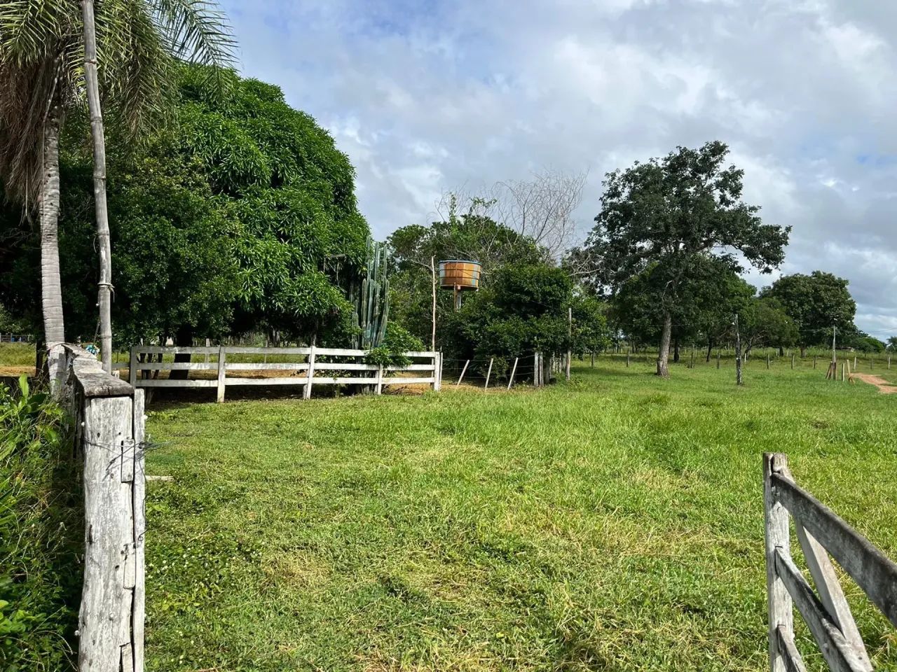 Sitio com 16 hectares, sendo 12 hectares formadas, 59 km da cidade de Várzea Gra - Foto 2