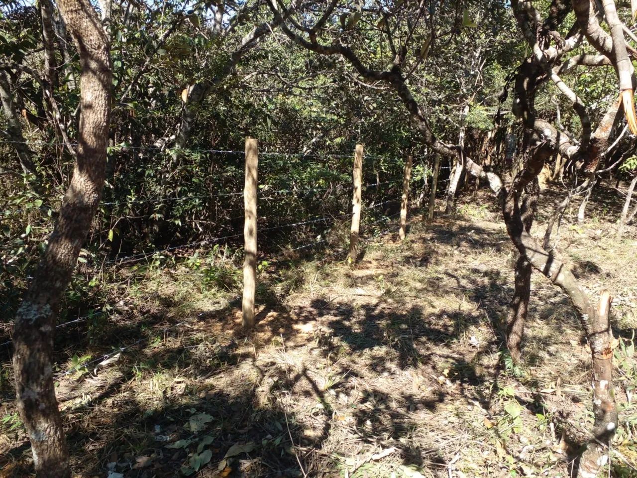 Lote Centro Alto Paraíso  - Foto 4