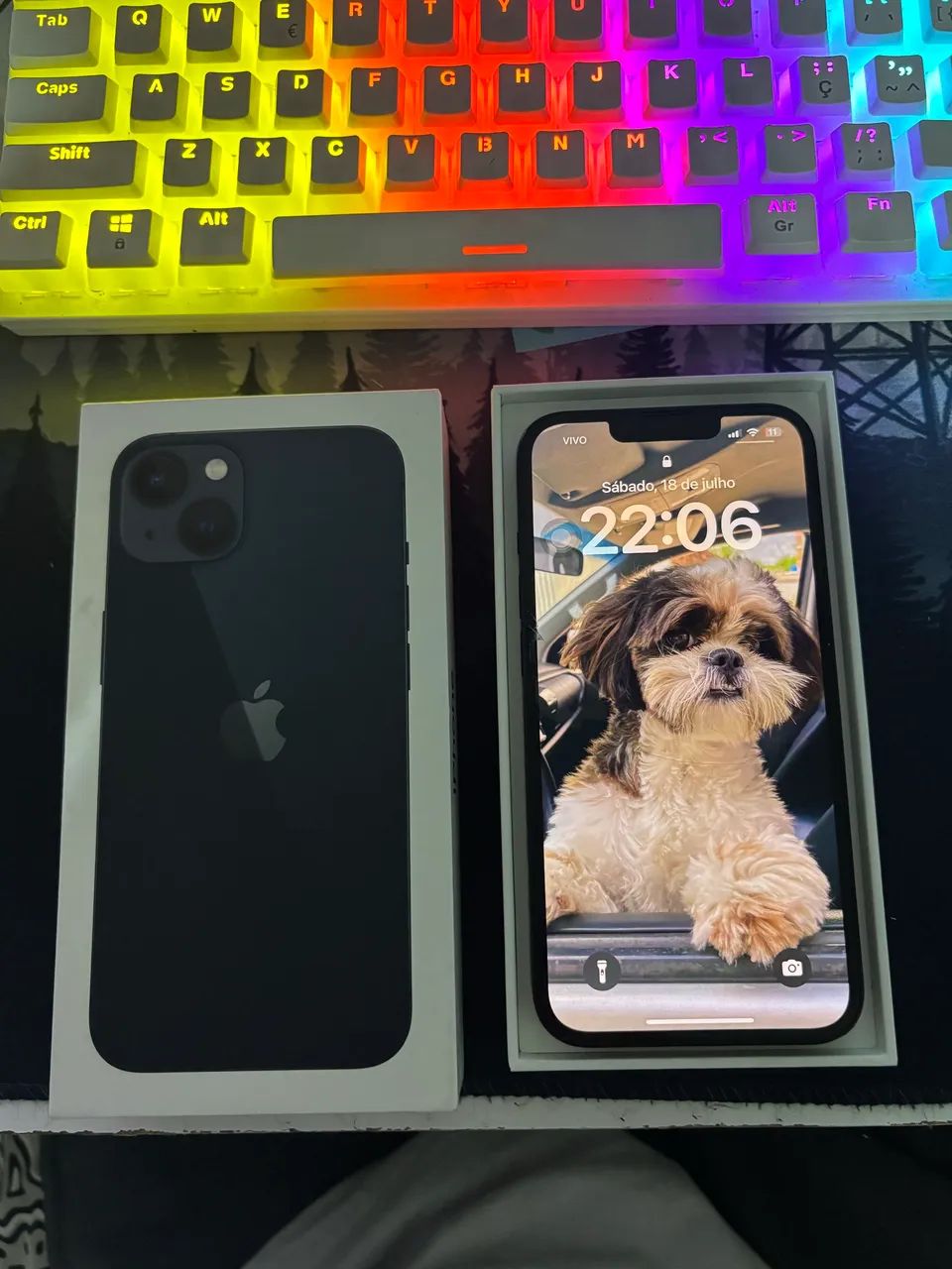 iPhone 13 / 256 GB