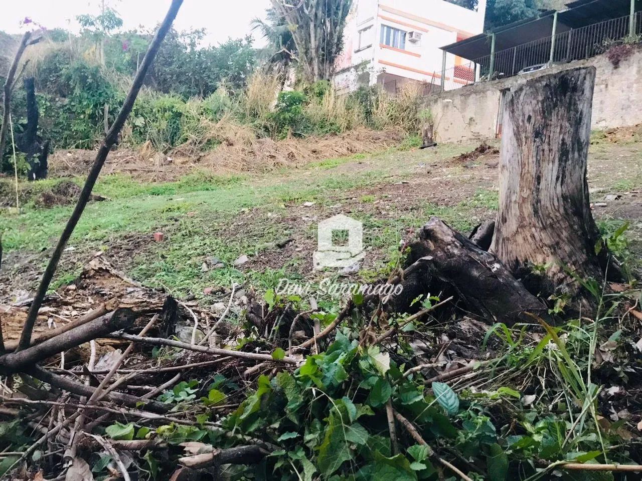 Terreno São Francisco - Foto 4