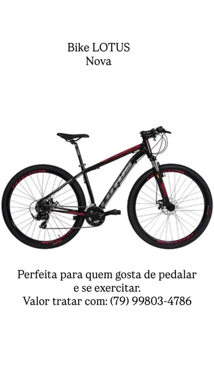 Bike Lotus aro 29
