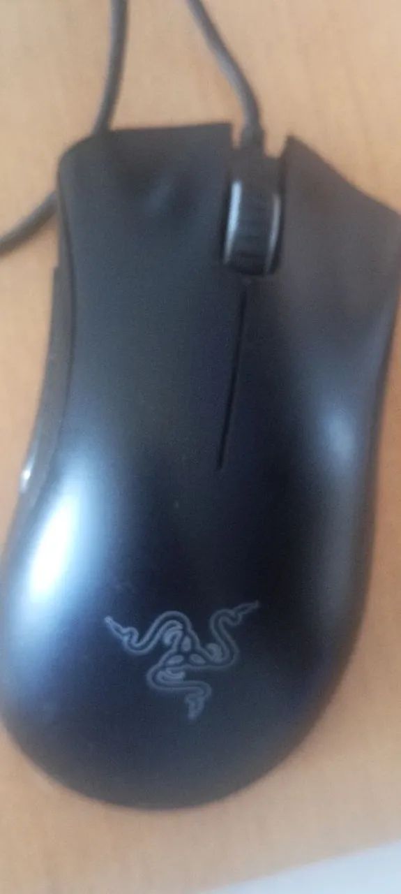 Mouse gamer Razer Deathadder com fio