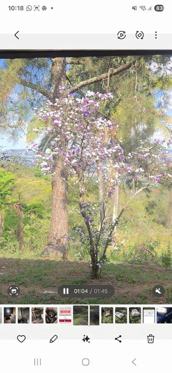 Sítio no alto da montanha! - Foto 3