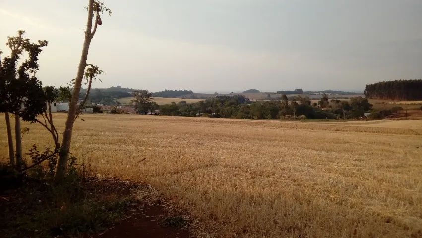 Terreno, Sitio dentro da cidade - 35 mil m² - Foto 4