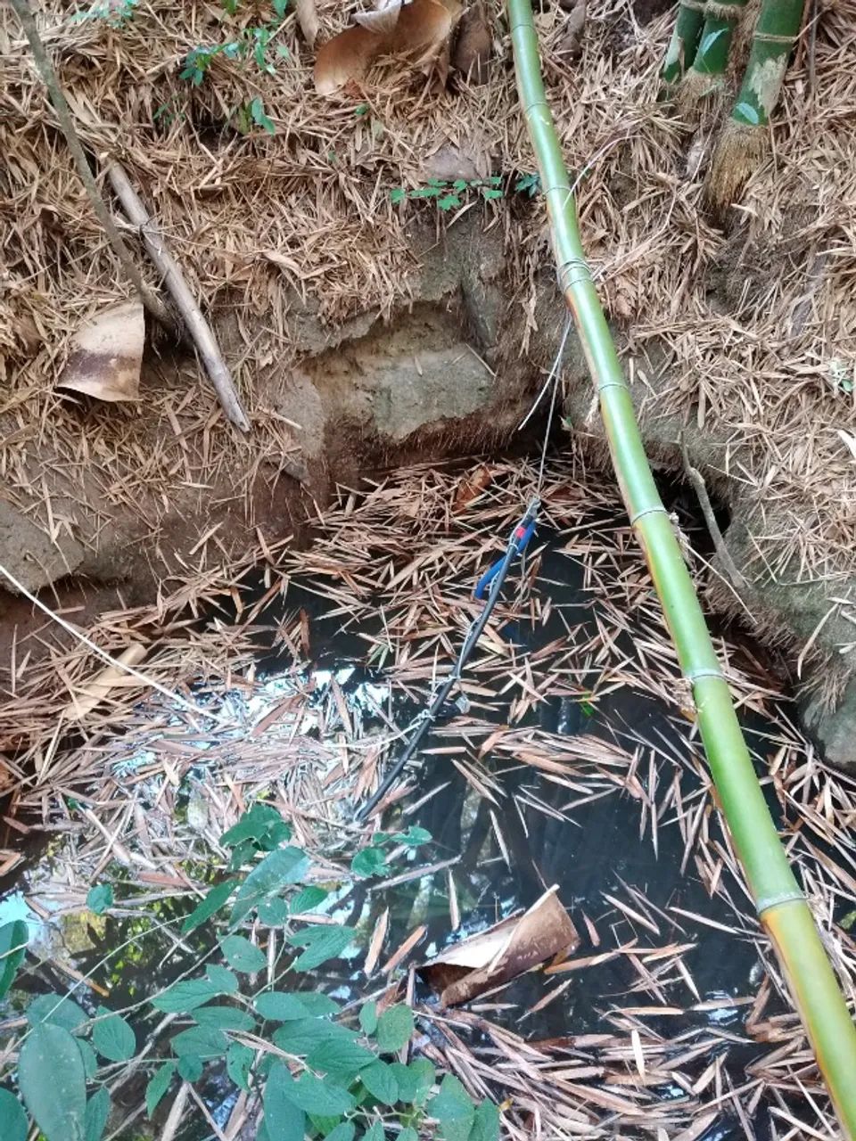Terreno Rural de 7.700 m² em Itaguara/MG - Foto 4