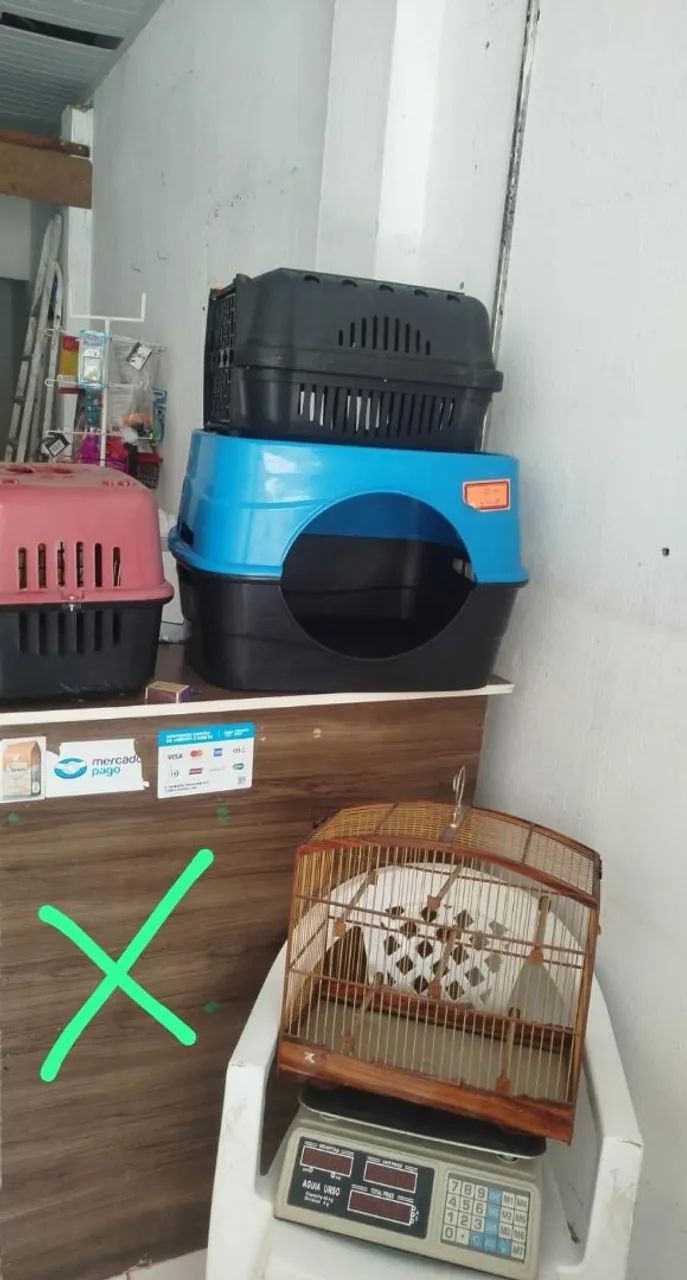 Tudo  - Foto 2