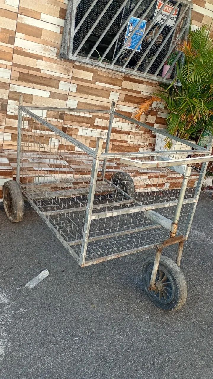 CARRINHO DE FERRO