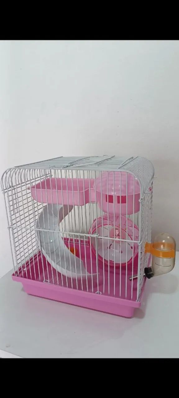Gaiola hamster anão russo 