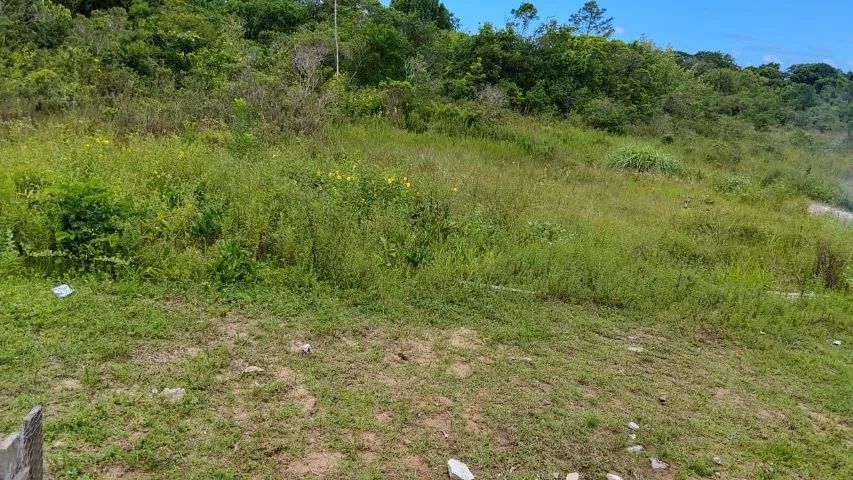 Foto - Itanhaém - Jardim Coronel