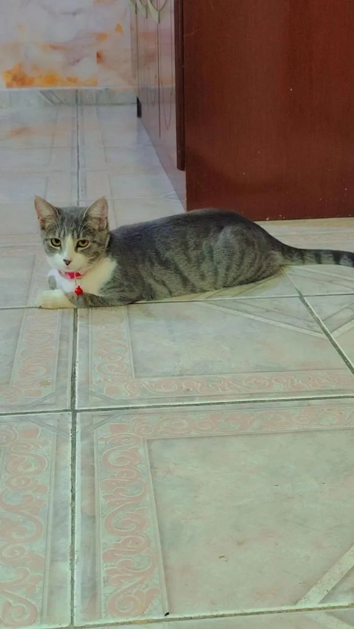 Doação responsável 