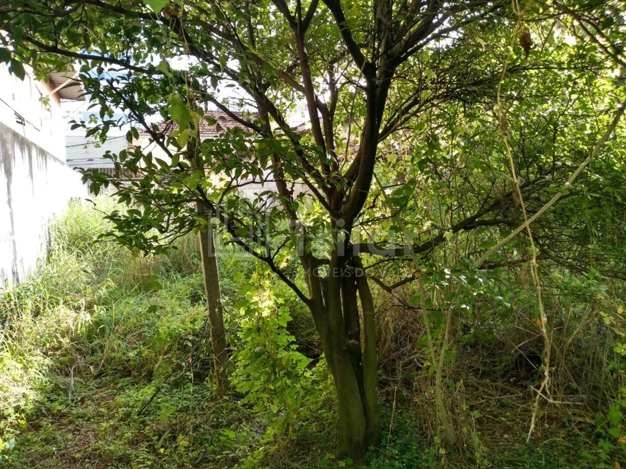 Imóvel no Certo de Jacareí!! - Foto 4