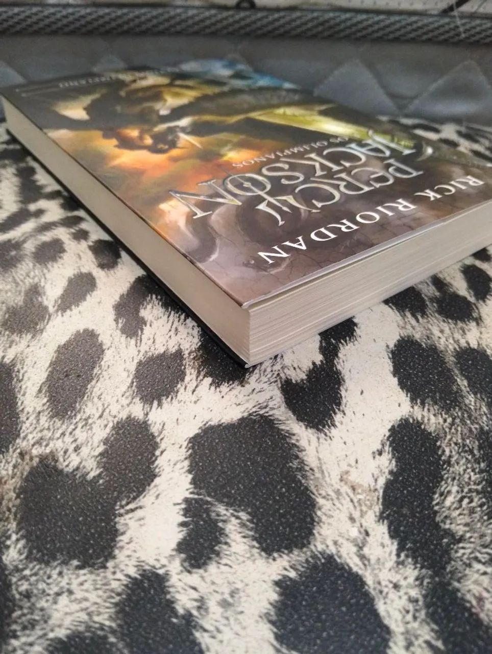 Percy Jackson e Os Olimpianianos - V - Foto 5