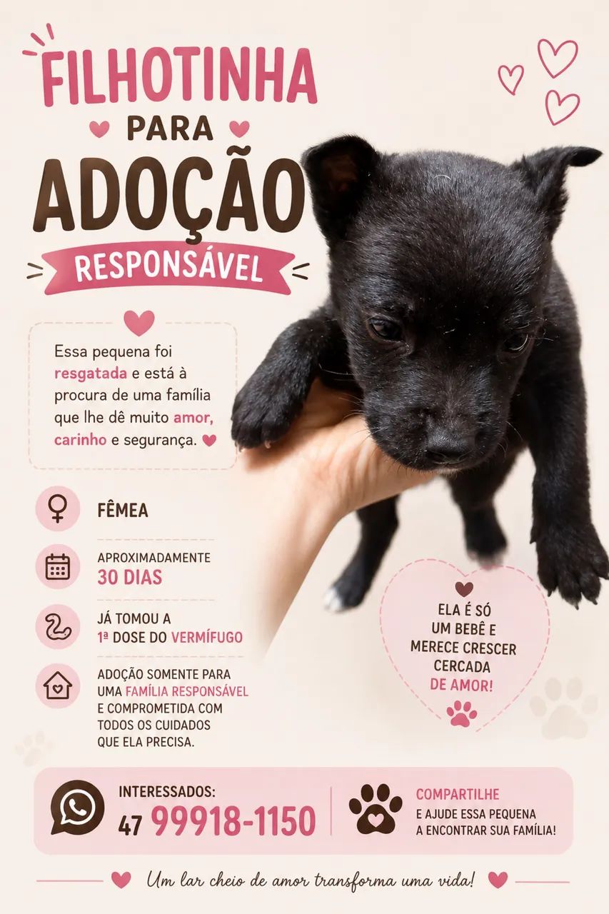 Filhotes disponíveis  - Foto 3
