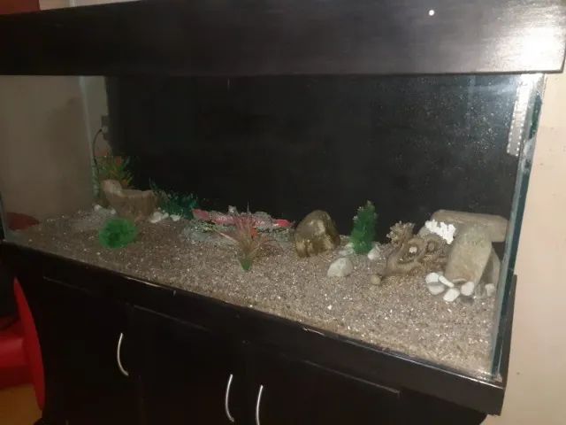 Aquário com móvel grande  - Foto 3