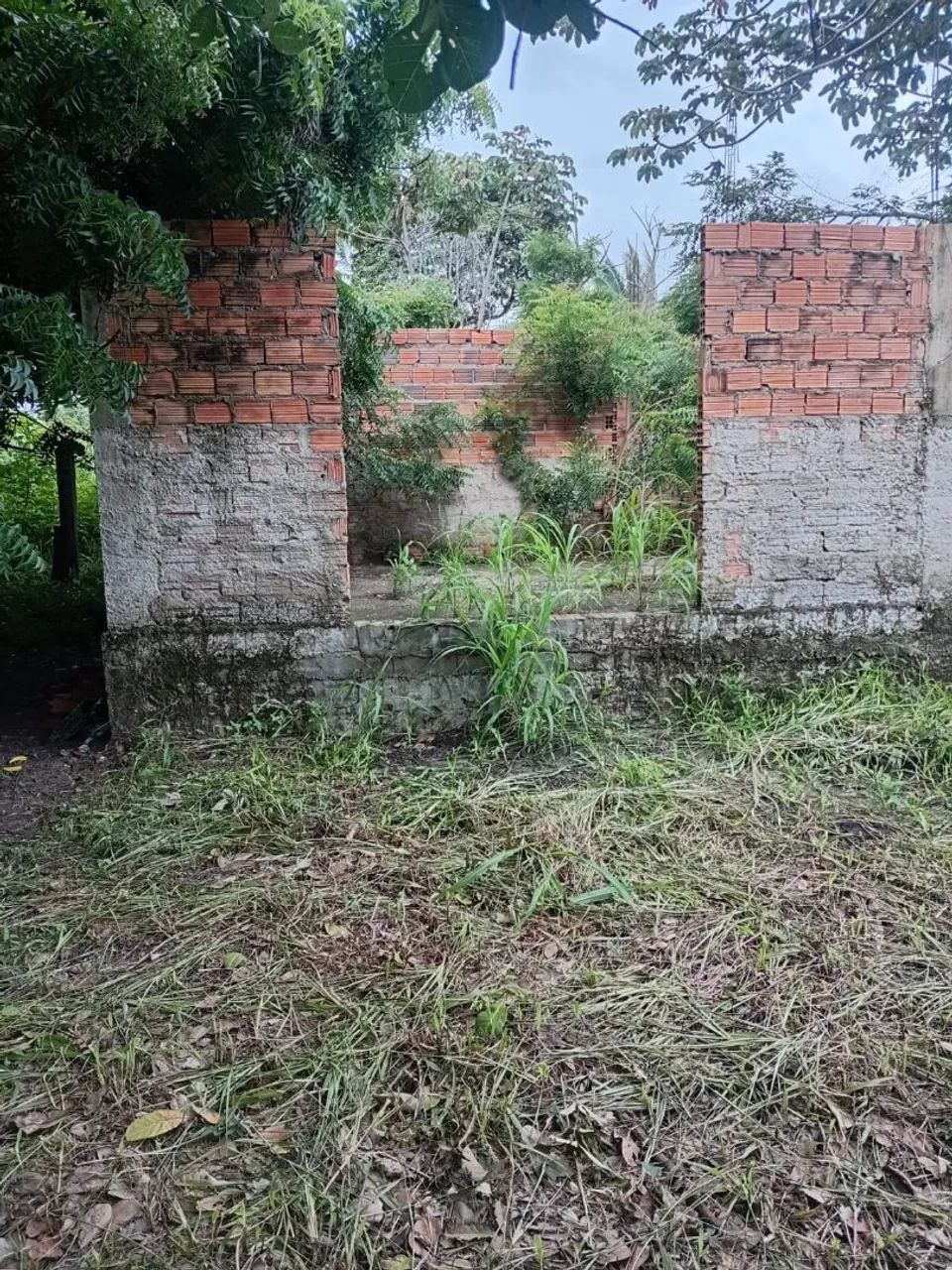 Vendo terreno para sítio no iguaiba  - Foto 5